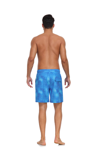 Palmera